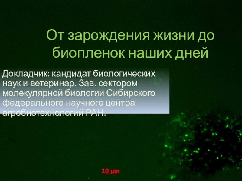 От зарождения жизни до биопленок наших дней