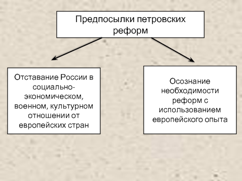 Предпосылки петровских преобразований. Предпосылки петровских реформ 8 класс конспект. Причины петровских преобразований. Характер петровских реформ.