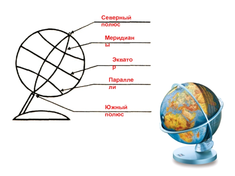 Главные линии на карте. Модель земли параллель Экватор Меридиан параллель полюс. Эватор меридианы параллели. Экватор Меридиан параллель. Глобус модель земли меридианы параллели Экватор.