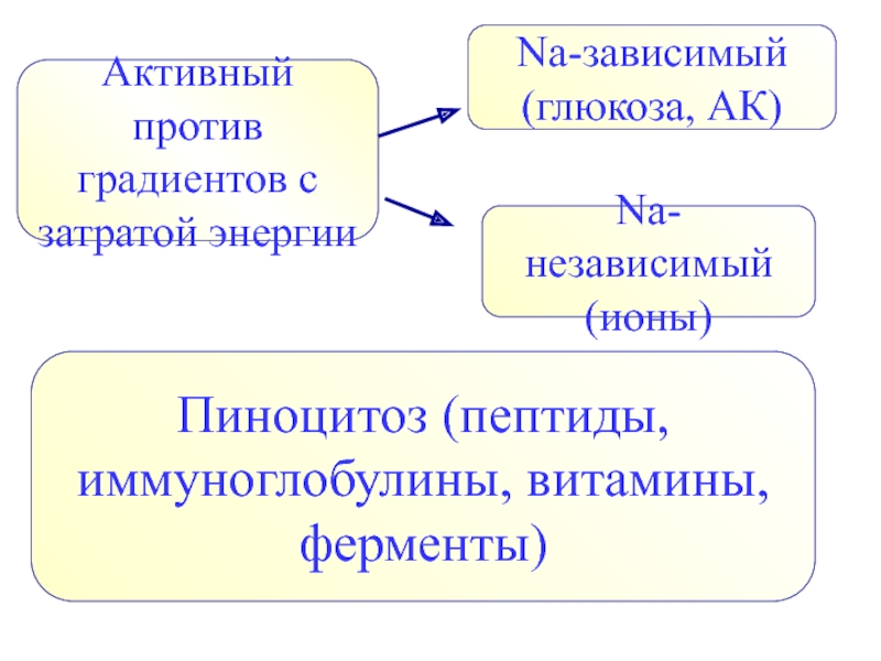 Против градиента