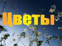 Цветы