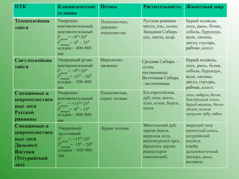 План характеристики леса