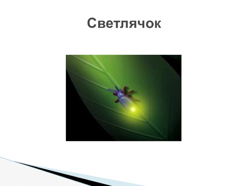 Проект источник света