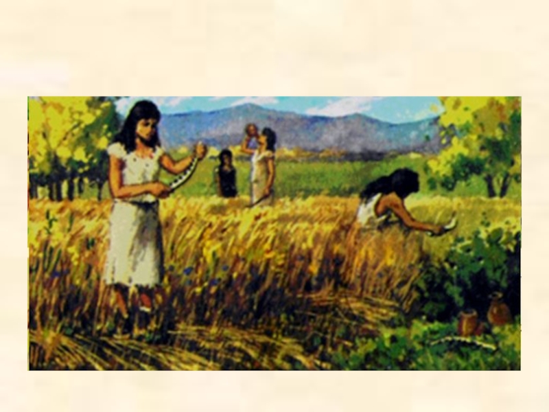 Первый земледельцы появились в. От собирательства к земледелию. Собирательство белорусов. Земледел 3 разряд. Серп и пшеница карты Таро.