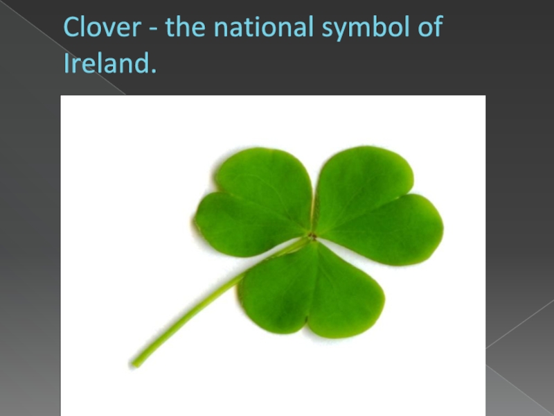 National symbols of ireland