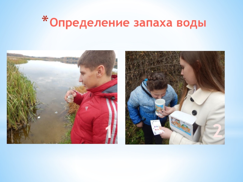 Исследовательская работа озеро. Определение запаха воды. Исследование озер. Как определить запах воды. Определение запаха воды картинки.