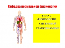 Системная гемодинамика