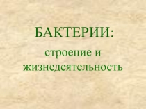 Строение и жизнедеятельность бактерий