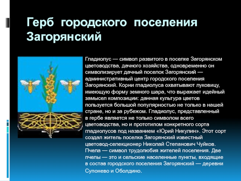 Геральдика городов и районных центров нашей области проект