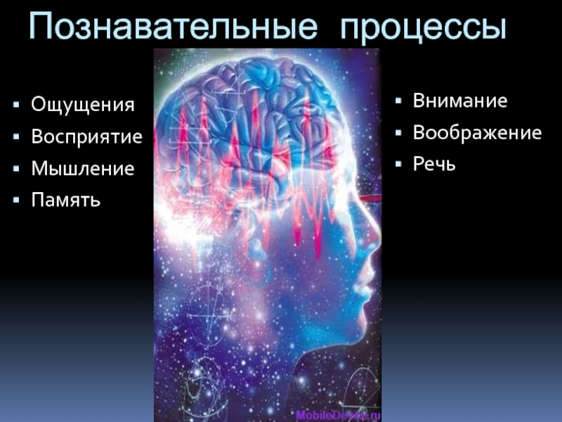 Восприятие внимание память мышление. Восприятие память мышление. Познавательные процессы ощущение и восприятие. Мышление память воображение. Внимание мышление воображение.