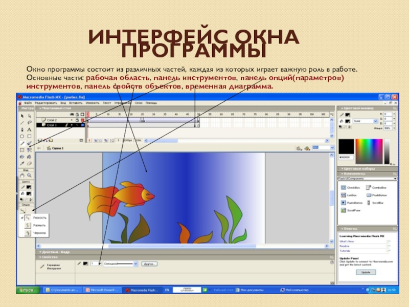 Окно программы состоит из. Панель инструментов макромедиа флеш. Макромедиа флеш Интерфейс презентация.
