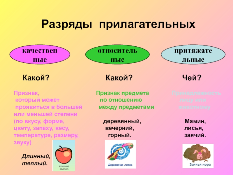 Прилагательные качественные относительные притяжательные 5 класс презентация