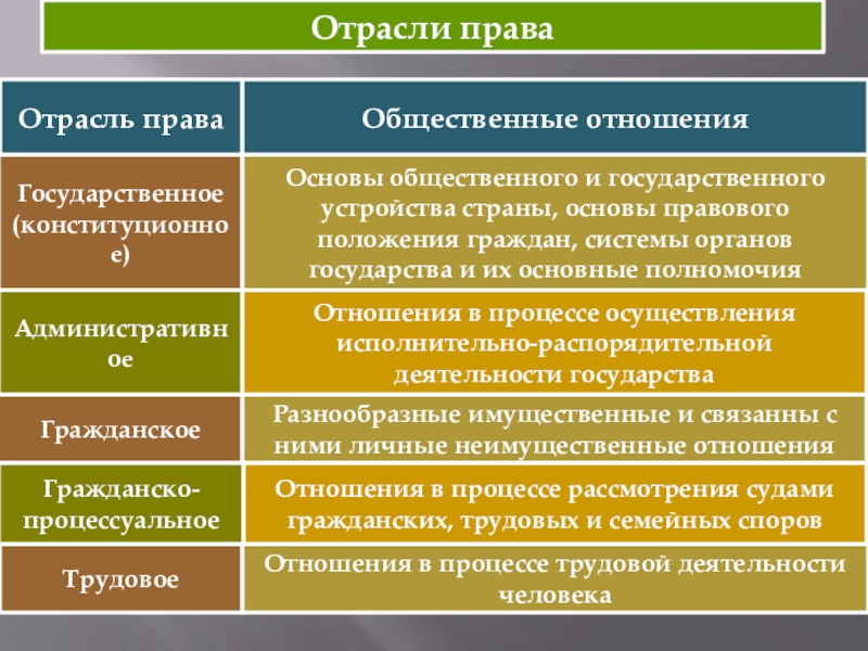 Основы государственного устройства. Юридические отрасли. Общественное и государственное устройство. Основы общественного и государственного устройства. Отрасли права человека.