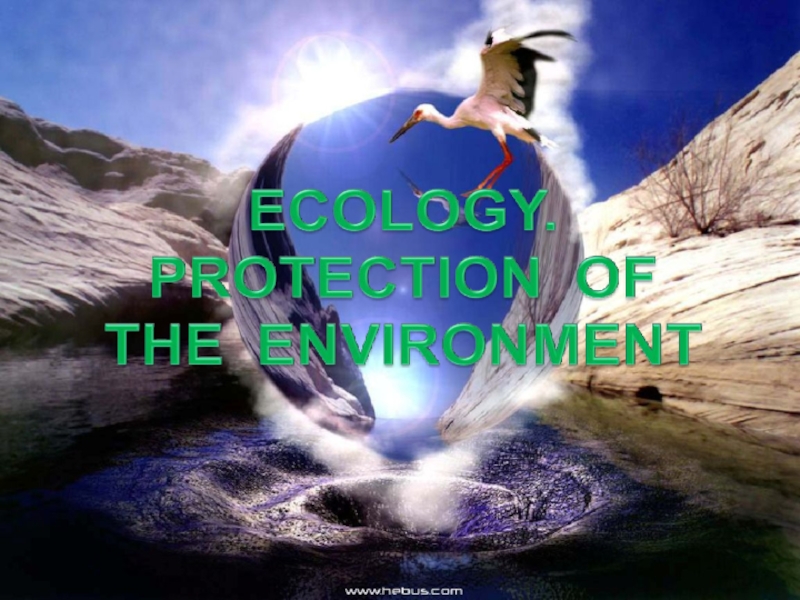 Ecology. Protection of the environment 8 класс