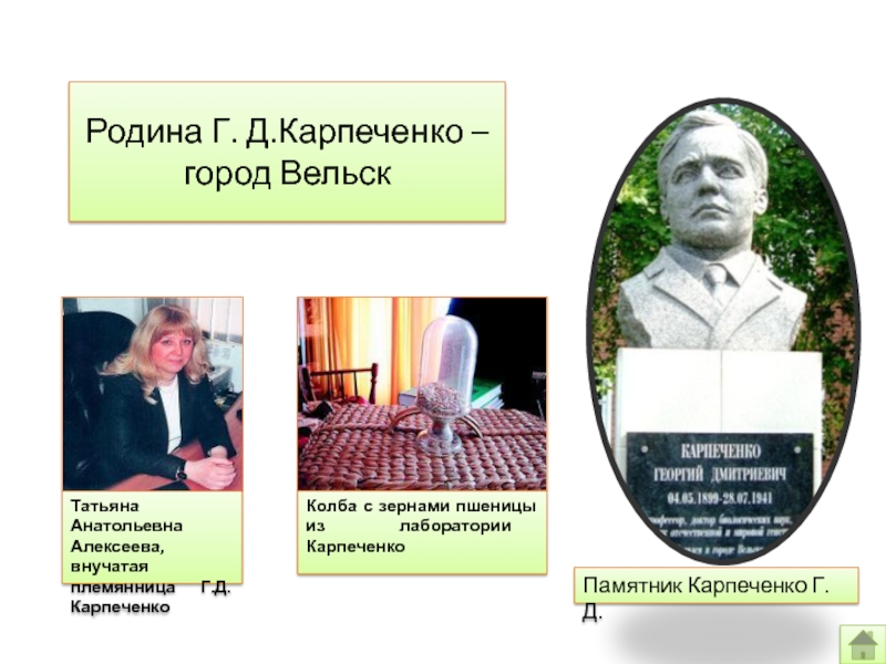 Карпеченко вельске. Георгий Дмитриевич Карпеченко. Памятник Карпеченко в Вельске. Карпеченко Вельск. Карпеченко вклад.