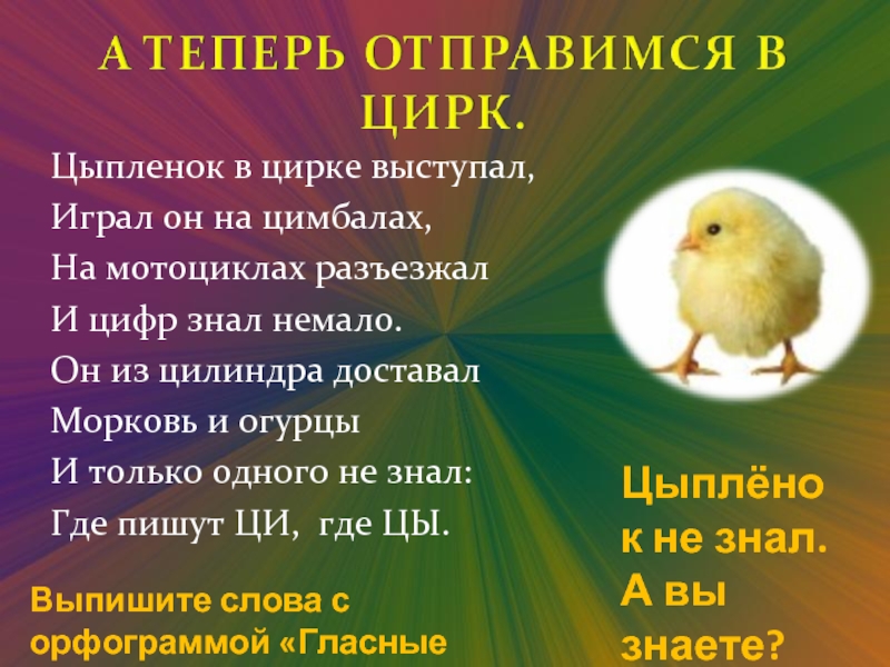 Как пишется цирк. Цыпленок в цирке выступал. Цыпленок в цирке выступал играла на цимбалах. Цыпленок в цирке выступал играл. Цыпленок правило написания.