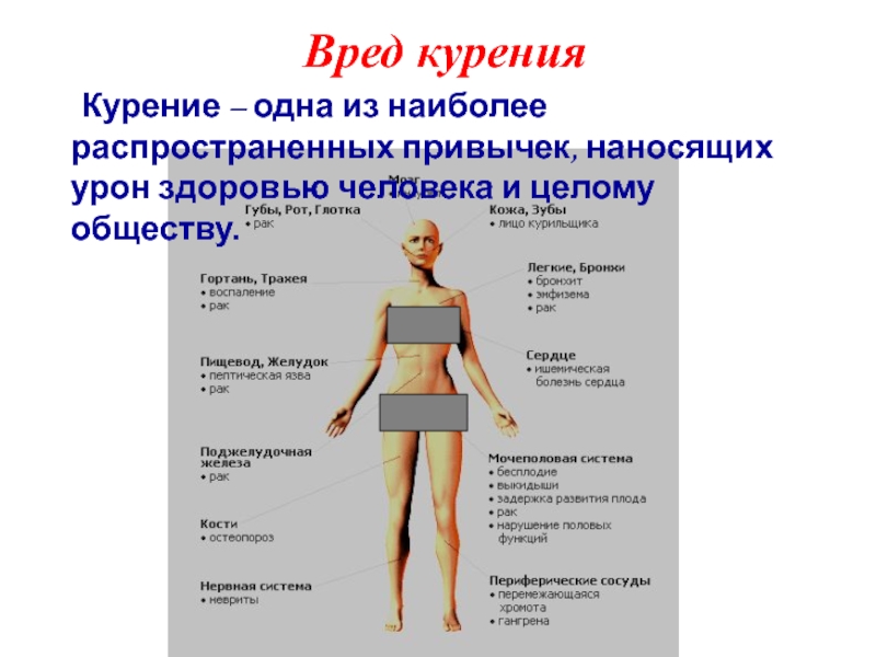 Презентация вред курения на здоровье человека