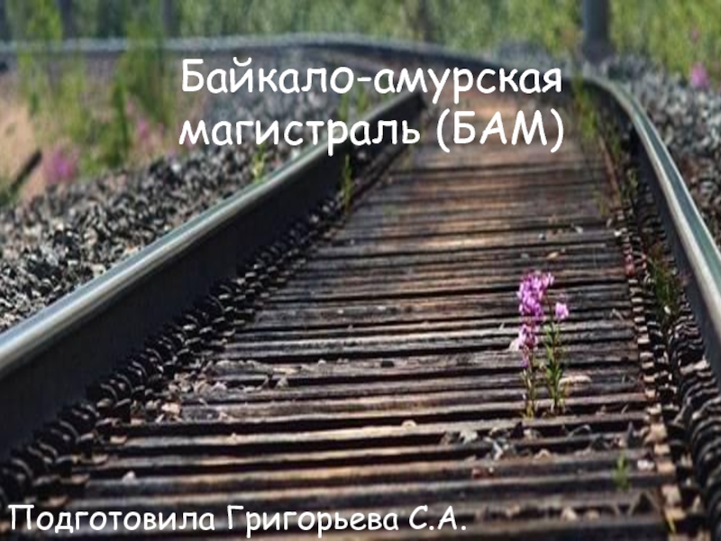 Байкало-амурская магистраль (БАМ)