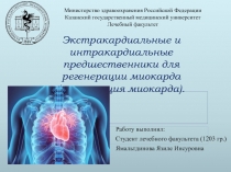 Экстракардиальные и интракардиальные предшественники для регенерации миокарда