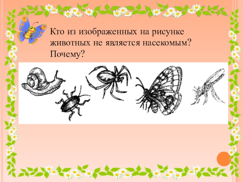 Дети изображали насекомых отметь сколько ног они должны нарисовать каждому насекомому