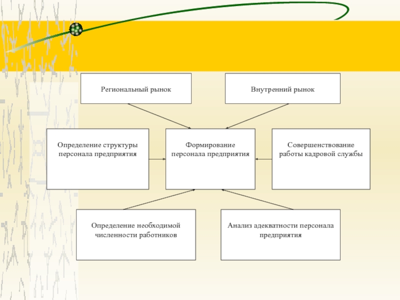 Формирование кадров организации. Формирование персонала. Формирование персонала организации. Особенности формирования персонала предприятия.