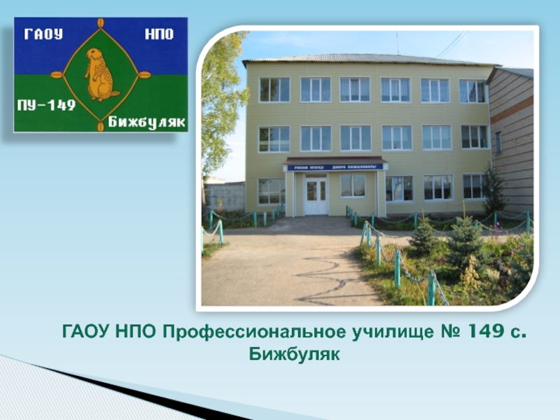 ГАОУ НПО Профессиональное училище № 149 с.Бижбуляк