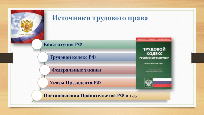 Понятие источники трудового права презентация