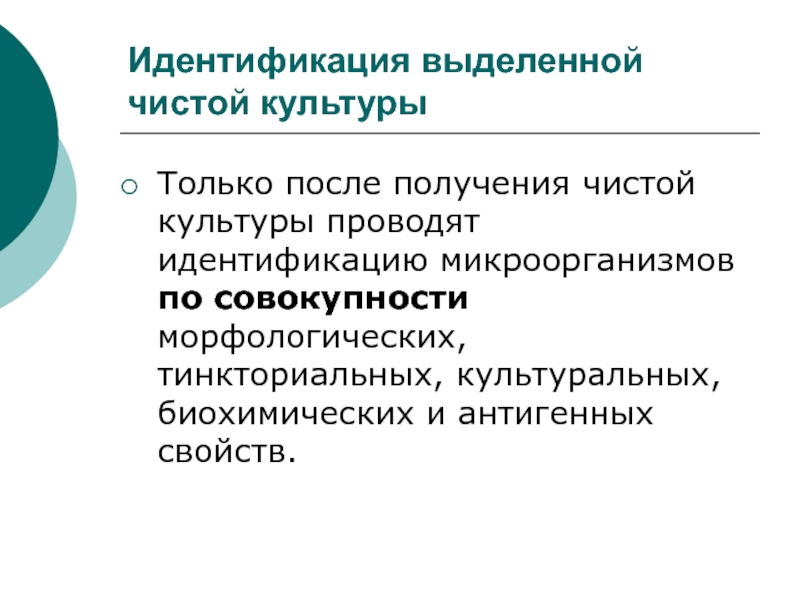 Выделена культура. Выделение и идентификация чистых культур бактерий. Идентификация чистой культуры в микробиологии. Этапы идентификации микроорганизмов. Идентификация выделенной культуры.