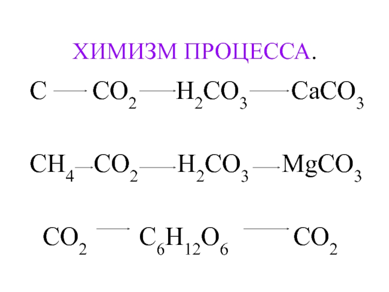 Химизм