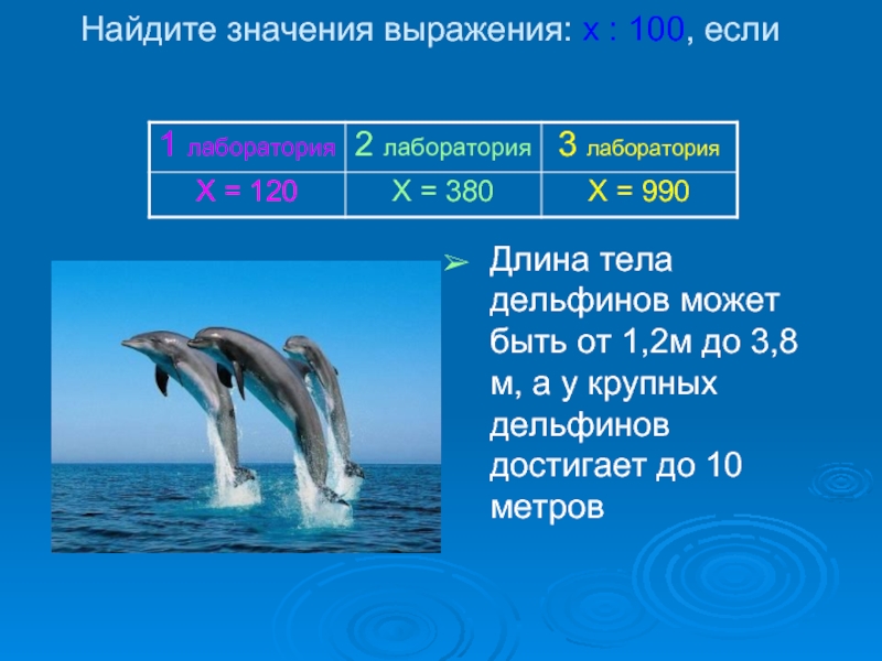 Найдите значения выражения: х : 100, если Длина тела дельфинов может быть от 1,2м до 3,8м, а