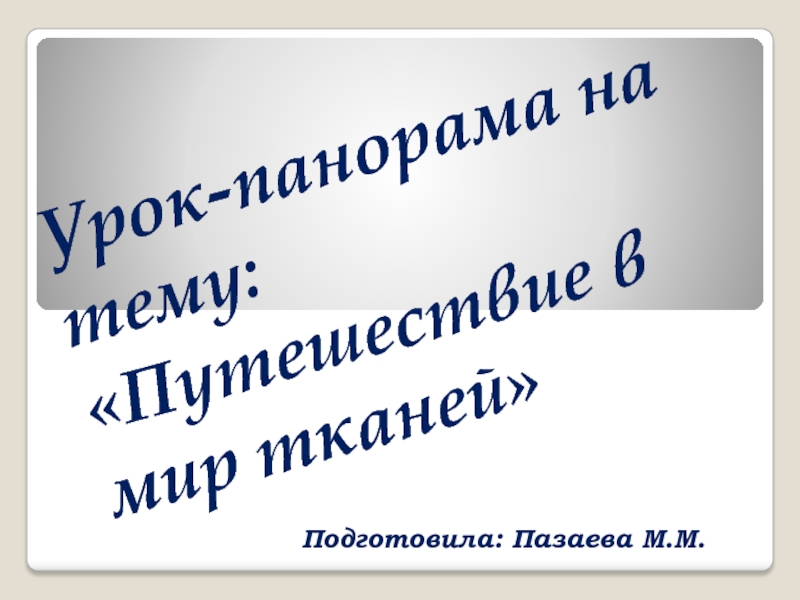 Презентация Урок-панорама на тему: Путешествие в мир тканей