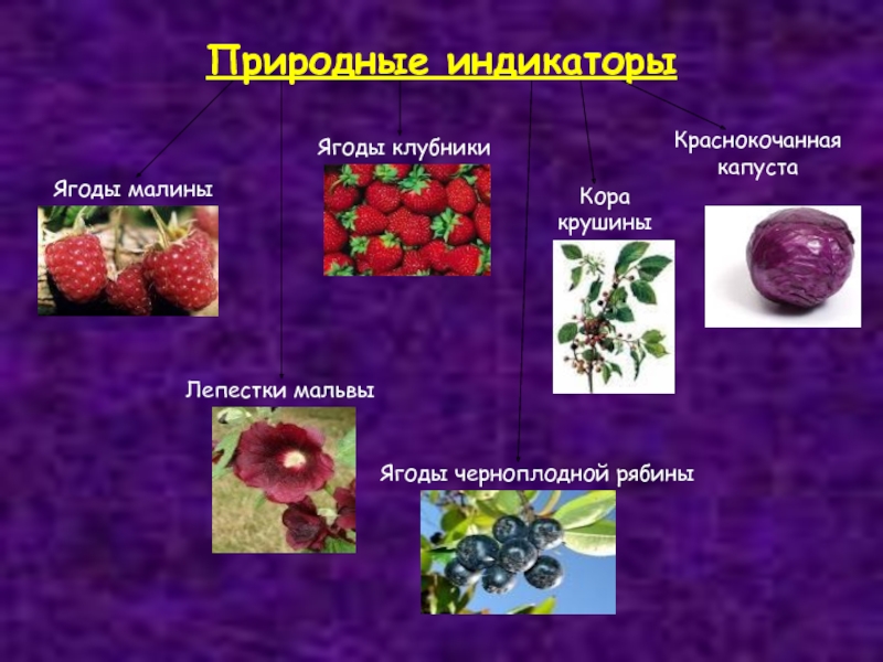 Индикаторы в химии презентация