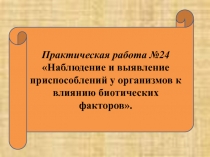 Практическая работа №24 по биологии для 11 класса (профильное обучение) 