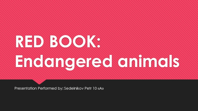Презентация RED BOOK: Endangered animals