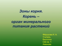 Зоны корня 6 класс