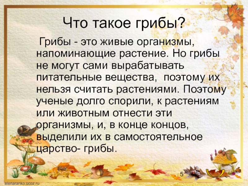 Проект про грибы