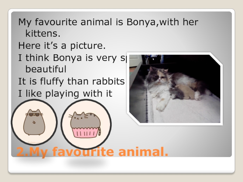 2.My favourite animal.My favourite animal is Bonya,with her kittens.Here it’s a picture.I think Bonya is very special