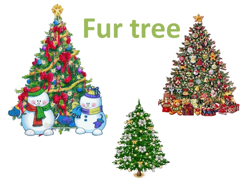 Fur tree