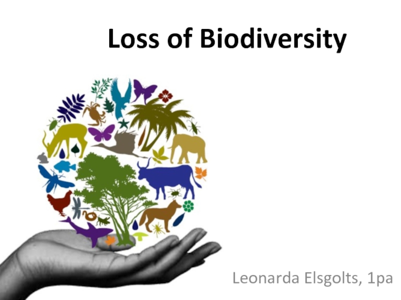Презентация Loss of Biodiversity