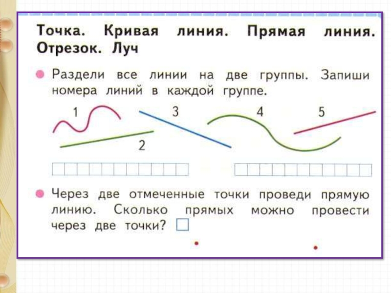 Линия относится. Точка кривая линия прямая линия отрезок Луч задания. Линия отрезок Луч 1 класс. Точка линия прямая кривая отрезок задания. Луч отрезок прямая 1 класс задания.