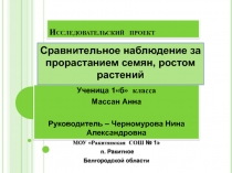 Сравнительное наблюдение за прорастанием семян, ростом растений