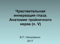 Чувствительная иннервация глаза. Анатомия тройничного нерва ( n. V)