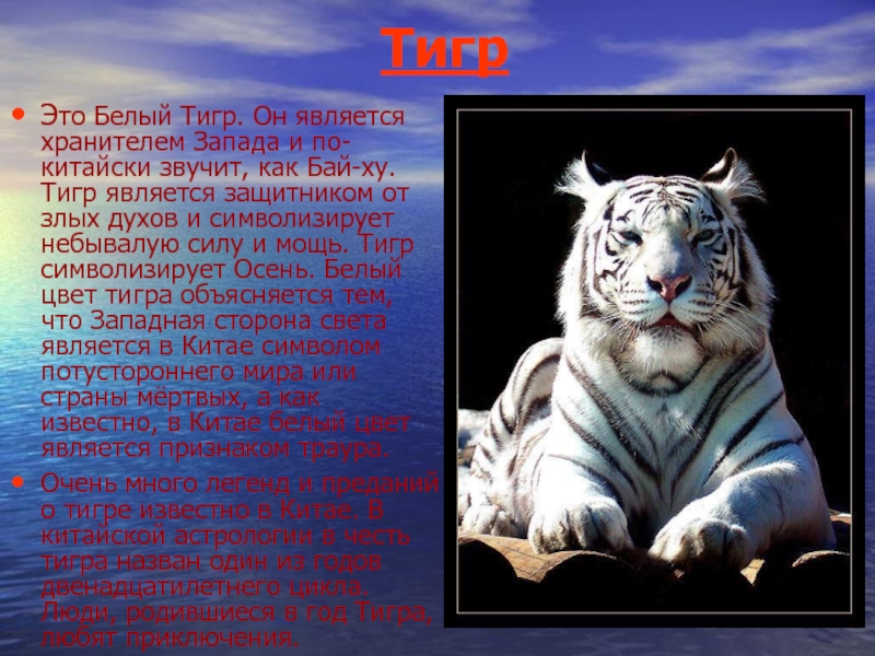 ТигрЭто Белый Тигр. Он является хранителем Запада и по-китайски звучит, как Бай-ху. Тигр является защитником от злых