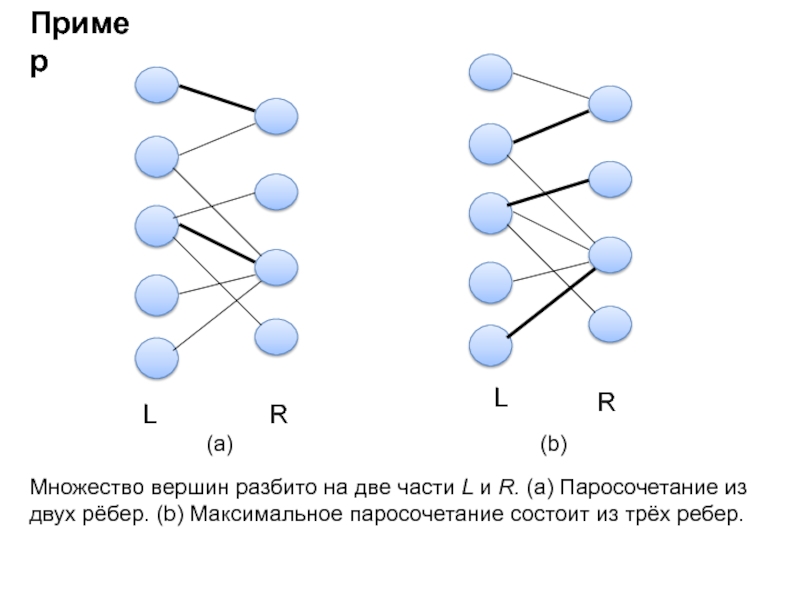 Число ребер в двудольном графе. Двудольный Граф паросочетание. Максимальное паросочетание графа. Паросочетания в двудольном графе. Двудольные графы паросочетания.