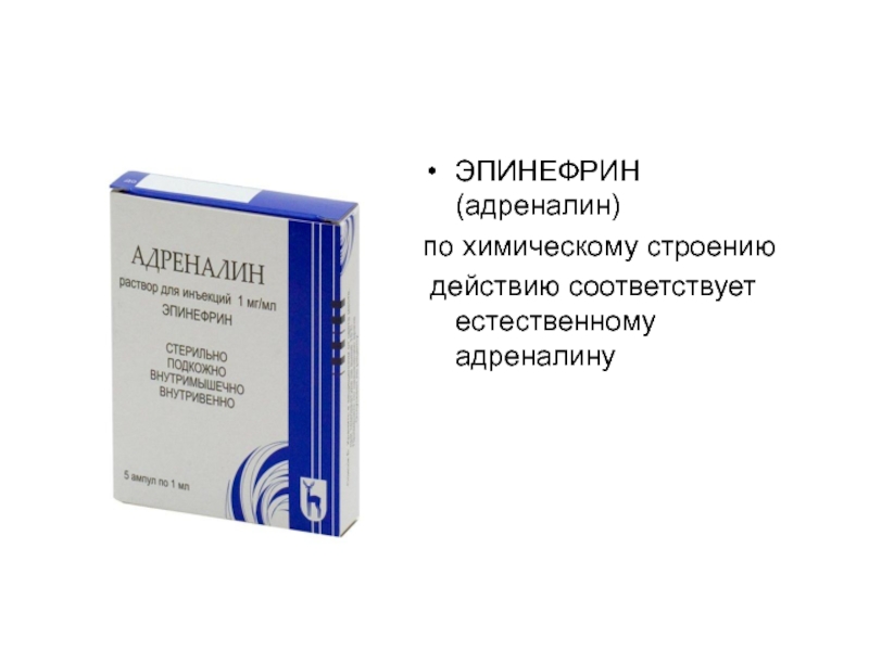 Адреналин усиливает сокращения. Эпинефрин фарм группа. Эпинефрин 0.5 мг. Адреналин эпинефрин. Эпинефрин внутримышечно.