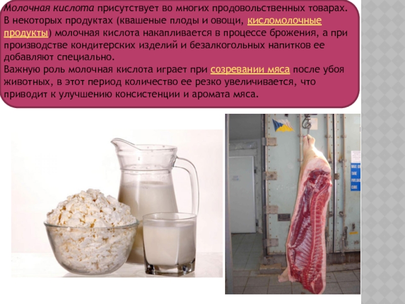 Молочная кислота презентация