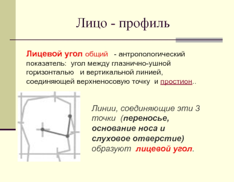 Показатель угол. Лицевой угол. Лицевой угол анатомия. Общий угол лицевого профиля. Общий угол лицевого профиля у человека составляет.