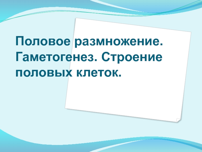 Половое размножение. Гаметогенез. Строение половых клеток