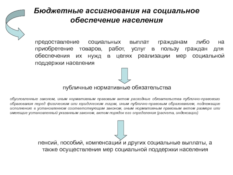 Цели социальных льгот. Бюджетные ассигнования на социальное обеспечение населения. Бюджетные ассигнования это. Социальное обеспечение за счет средств государственного бюджета. Бюджетные ассигнования на закупку товаров.