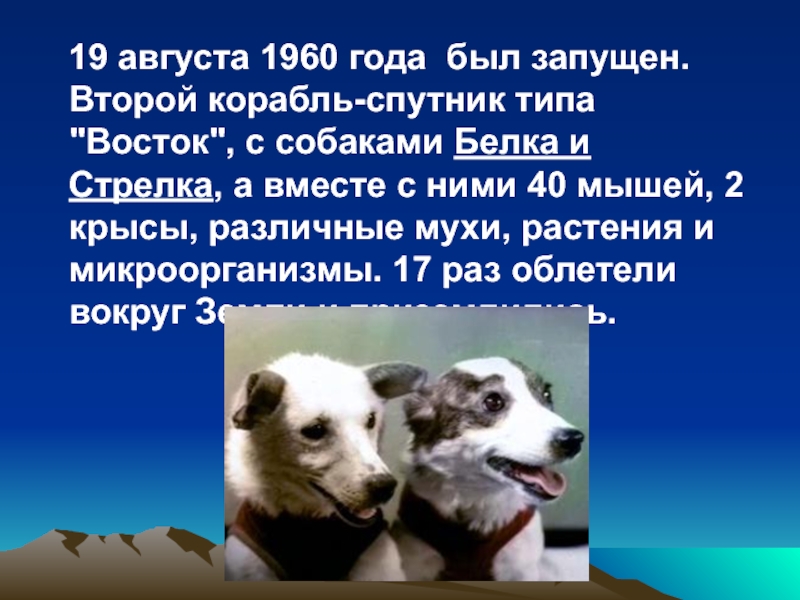 19 августа 1960. 19 Августа запущен 2 Спутник с собаками белка и стрелка.